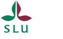 Fifo_SLU_logo